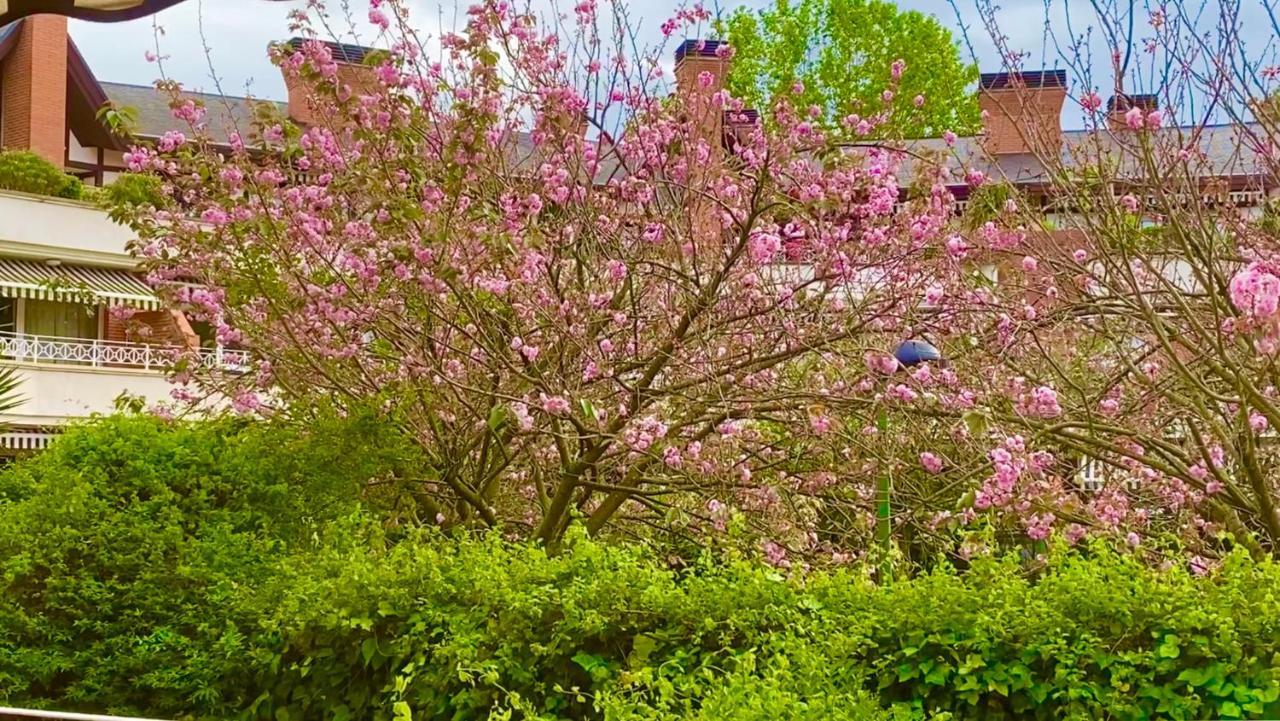 Apartamento Con Jardin Гечо Екстер'єр фото